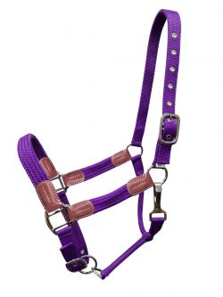 Showman Nylon halter with leather accents #3